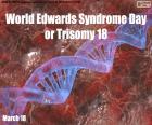 Dünya Edwards Sendromu Günü veya Trizomi 18